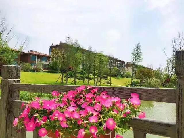 金陵十一大最美湖景豪宅曝光!这才是南京人该住的房子!