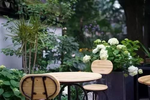 旧时禅房,如今小筑,出门十步便是西湖