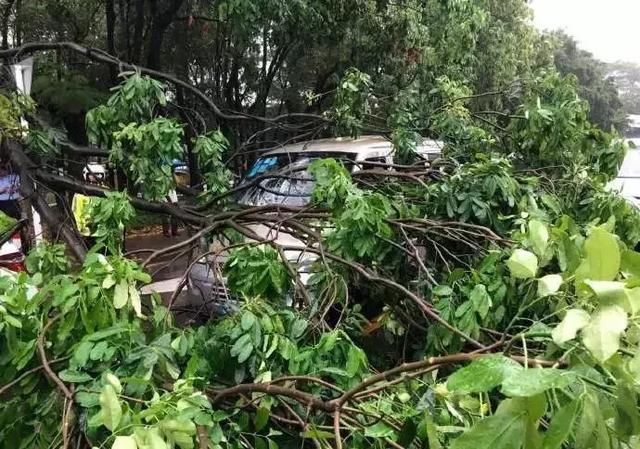 台风暴雨袭来！看看深圳最容易被积水的地方