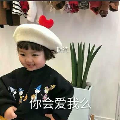 表情:单身真的好a表情,还好有表情陪我猫图片手机包图片