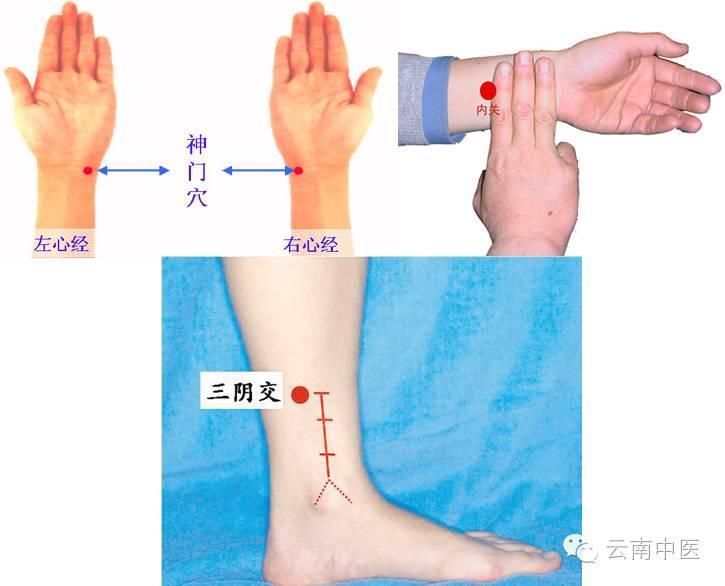 经常失眠、烦躁健忘、精神疲惫，找它就对了，千万别小瞧!