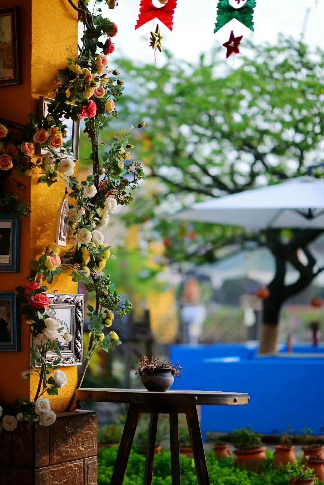 一对夫妻把青白江农家改造成“田园牧歌”，从此家有美景何必远方