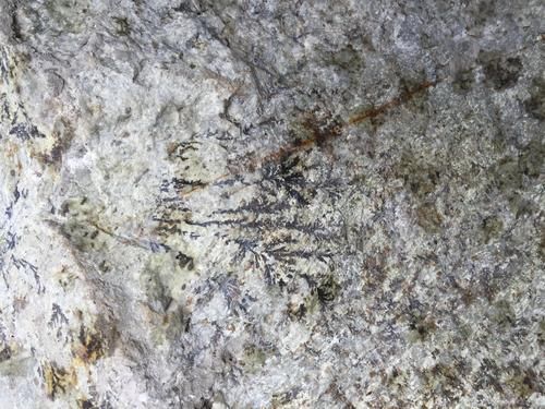 永嘉村民挖地基挖出画一样石头 专家建议保护