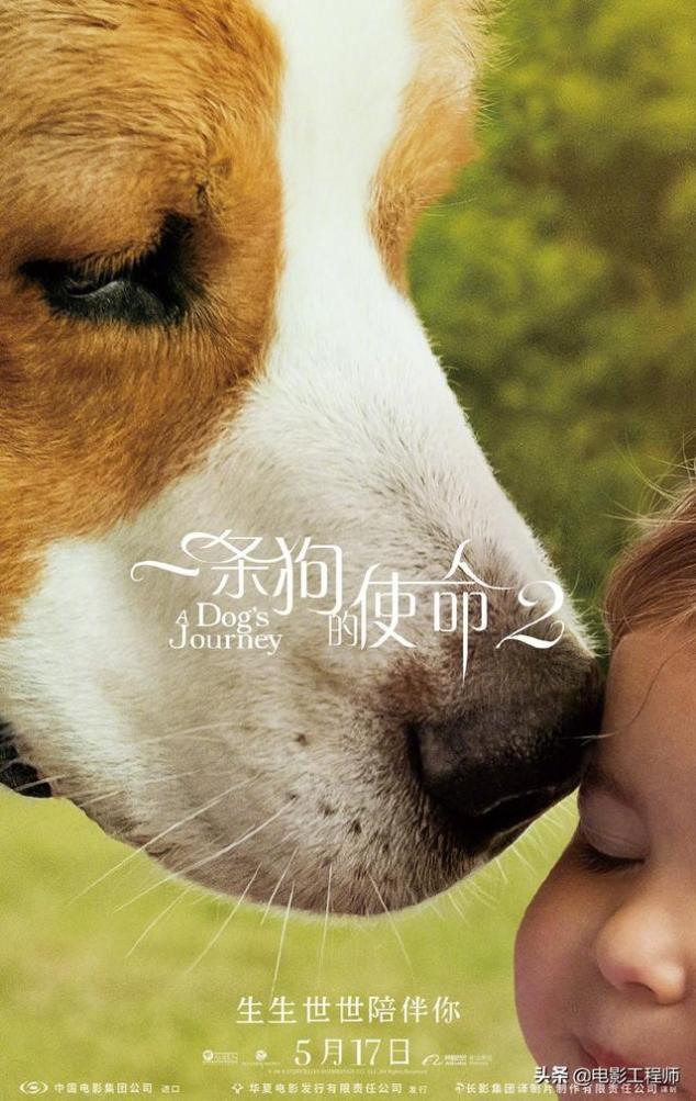 狗西红柿猜成语_看图猜成语(3)