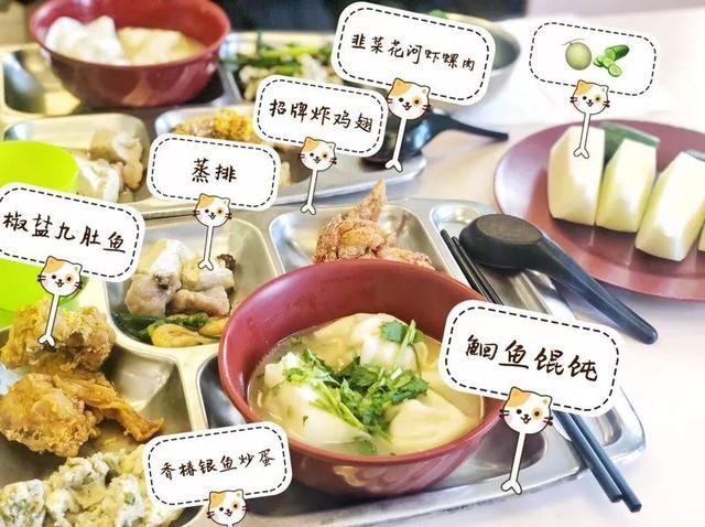 宝宝人一周食堂可以,别人家的酒店员工从来没食谱不吃饭吃水苏糖益生菌粉曝光吗图片