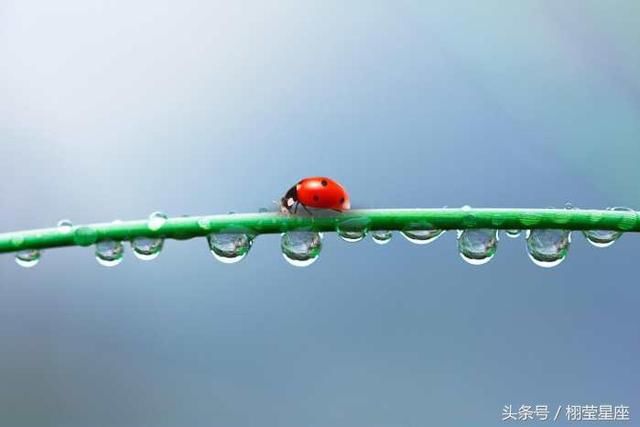 下个月将否极泰来的三大生肖, 告诉你什么叫真正的转运!