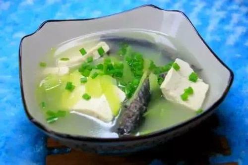 江门的这种鱼，被誉为“鱼类中的天才”！盛夏吃它正当时~丨寻味