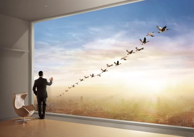 中国青年创新创业板为青年人的梦想铺路