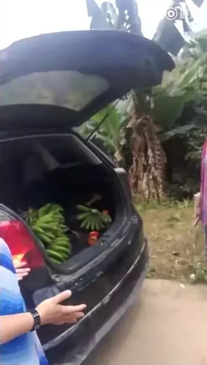 东北老人海南偷豆角:为什么菜不值钱,却总有人