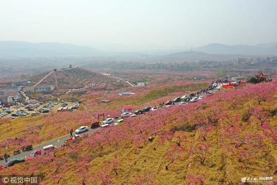 蒙阴人口碑_蒙阴桃花节图片