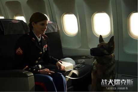 粉丝福利|一人一狗并肩作战!电影《战犬瑞克斯