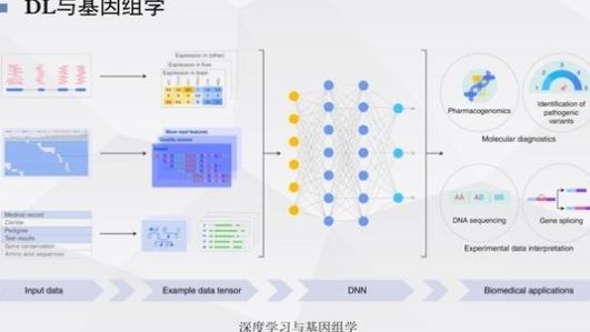 编程学有没有用