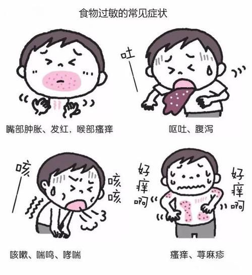 公司注册号是什么