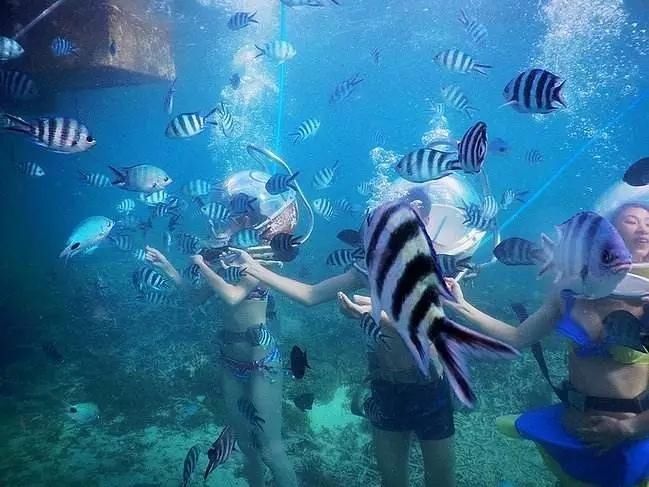 中国游客在泰国玩海底漫步溺亡!其实危险离