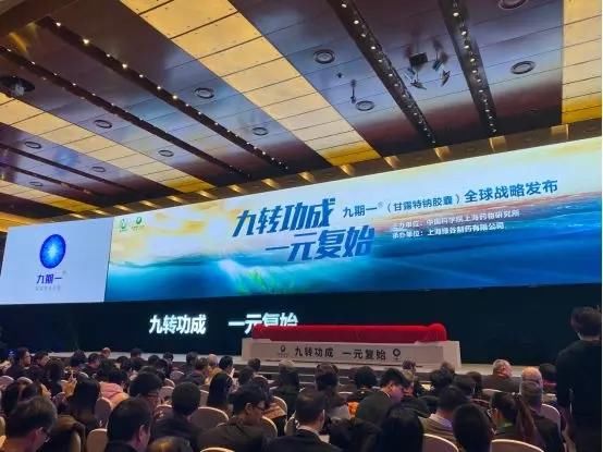 九期一新药上市哪里买的到