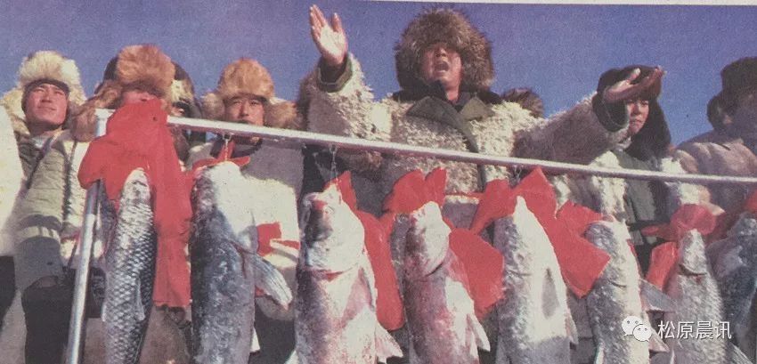 查干湖鱼拍卖最高