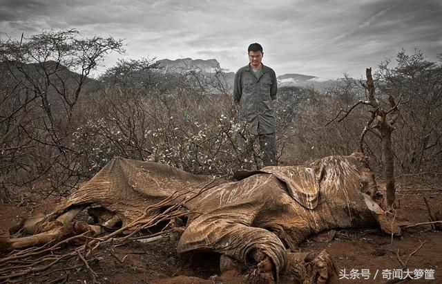 23张惊心动魄的地球真实照片