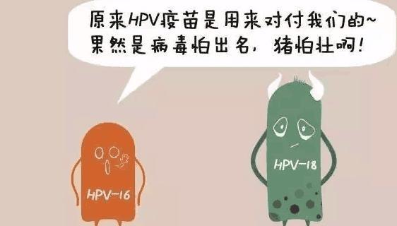 如何判断自己感染了hpv