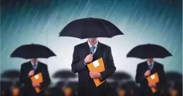 5月新法来了!建设法治政府、降低社保费率.