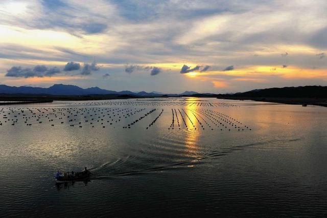 导游都不会推介!但是,巽寮湾都不及这个海岛好玩