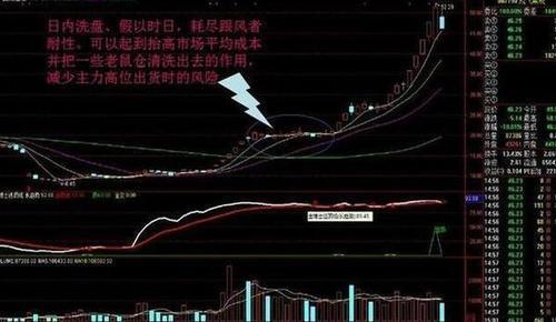 一个中国股市旷世难题:为什么散户总是斗不过