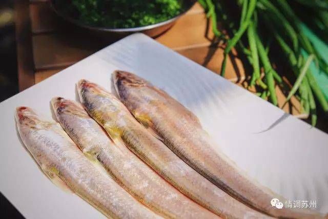 江刀开捕,5000元一斤!苏州人春天最奢华的时令美食已经上线!