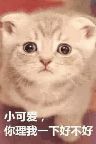 如果有人不回你消息,就用这些表情包怼ta,网友:萌化我