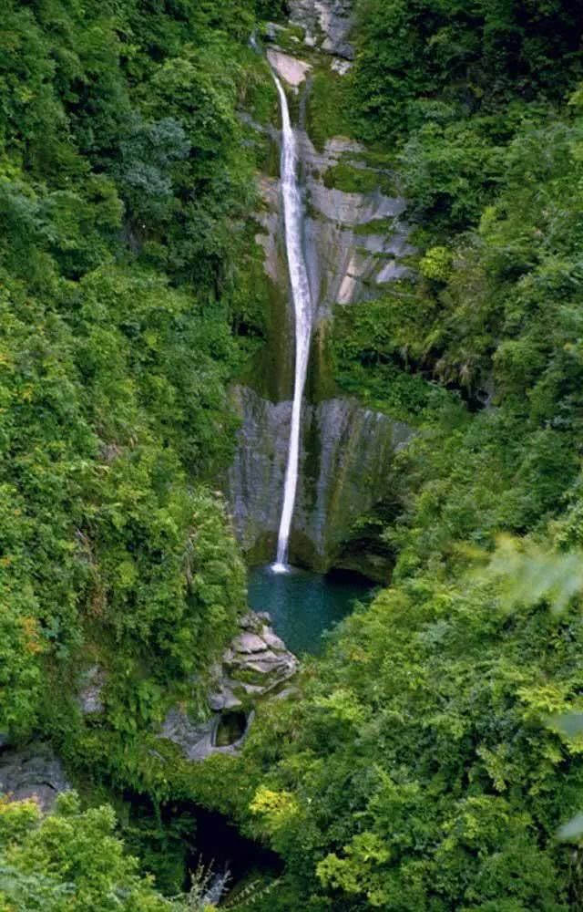 湘西吕洞山，出产中国最贵茶的地方