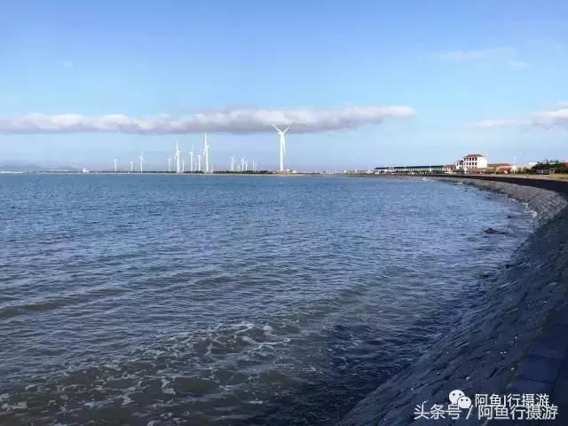 游记山东青岛、威海、济南