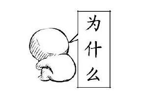 儿媳妇和女婿的区别，很多人看了都找到自己的影子