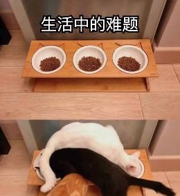 终于我还找到一个方式看遍了电视直播 支持虎