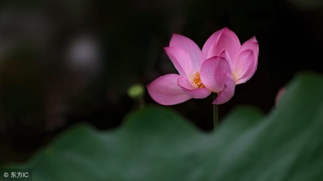 算命几十年的资深算命先生的人生忠告！非常宝贵