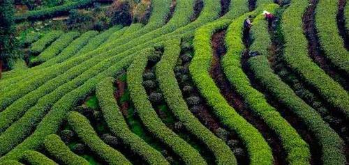 中国雨水最多的城市:平均每年有245是雨天,而