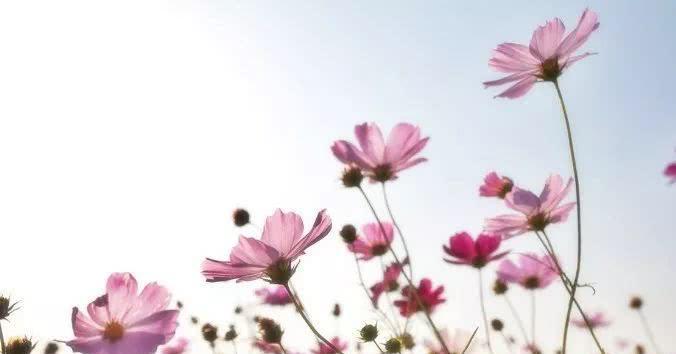 描写劳动节的开头和结尾、名言警句!