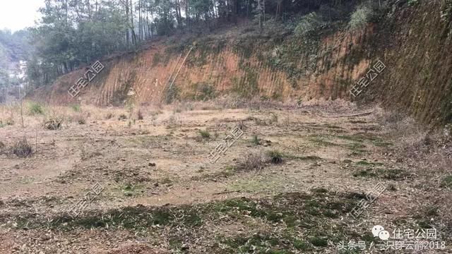 晒家丨自建花园别墅，竹林、花园、舒适庭院，200万花的值不？