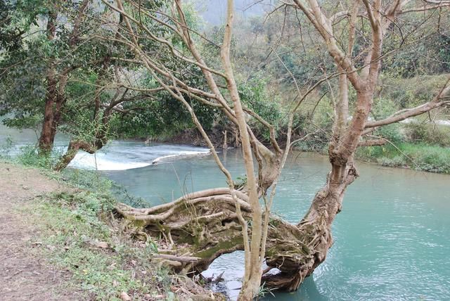 随走札记｜一到春天，罗平就变成了多彩的世界
