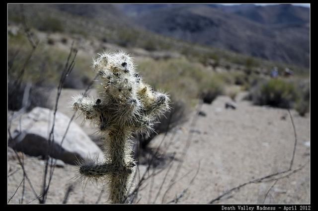 一 死亡谷国家公园