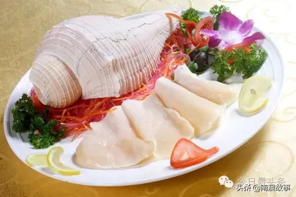 响螺科技,响螺app最新版免费下载