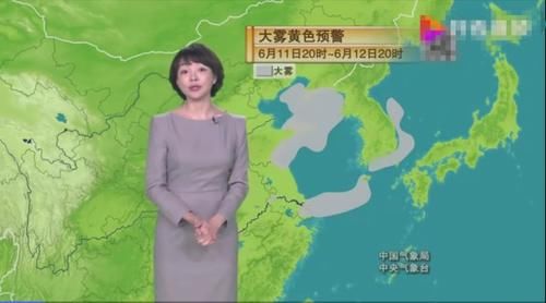 在此之前,王蓝一先后担任辽宁卫视天气预报主持人,cctv-10频道《今日