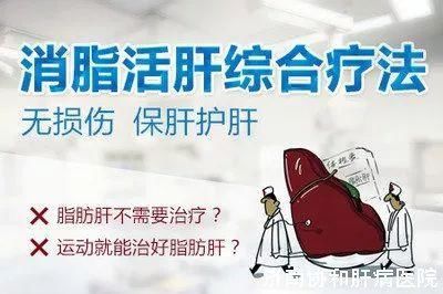 济南协和肝病医院专家指出:脂肪肝要治疗!拒绝
