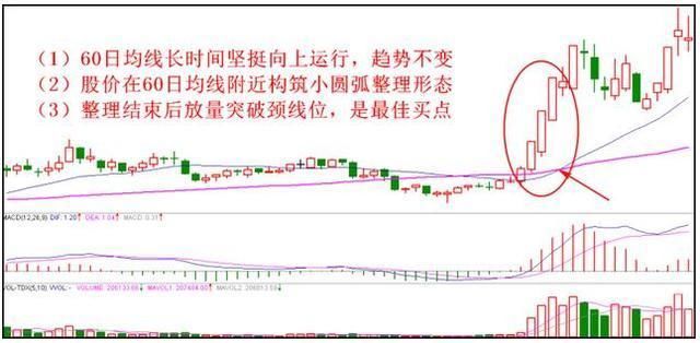 一个资深老股民的肺腑之言：只买一种股票，盈利十年从不停止