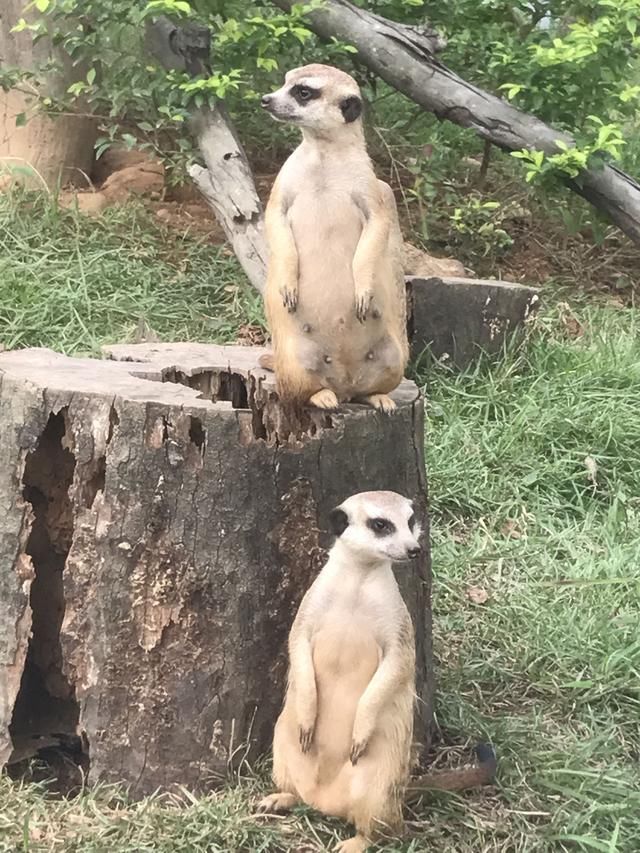 最高院：财政拨款应根据资金使用方式确认是否列入注册资本金