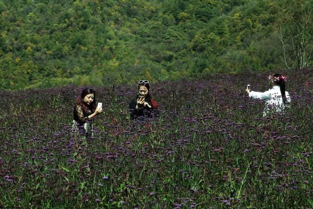 绵延大巴山，悠悠我情怀