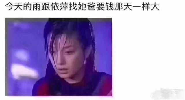 今天上海的雨,属于依萍、书桓、祺贵人.