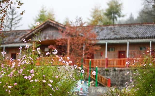 不好意思 ,我要去雅安了