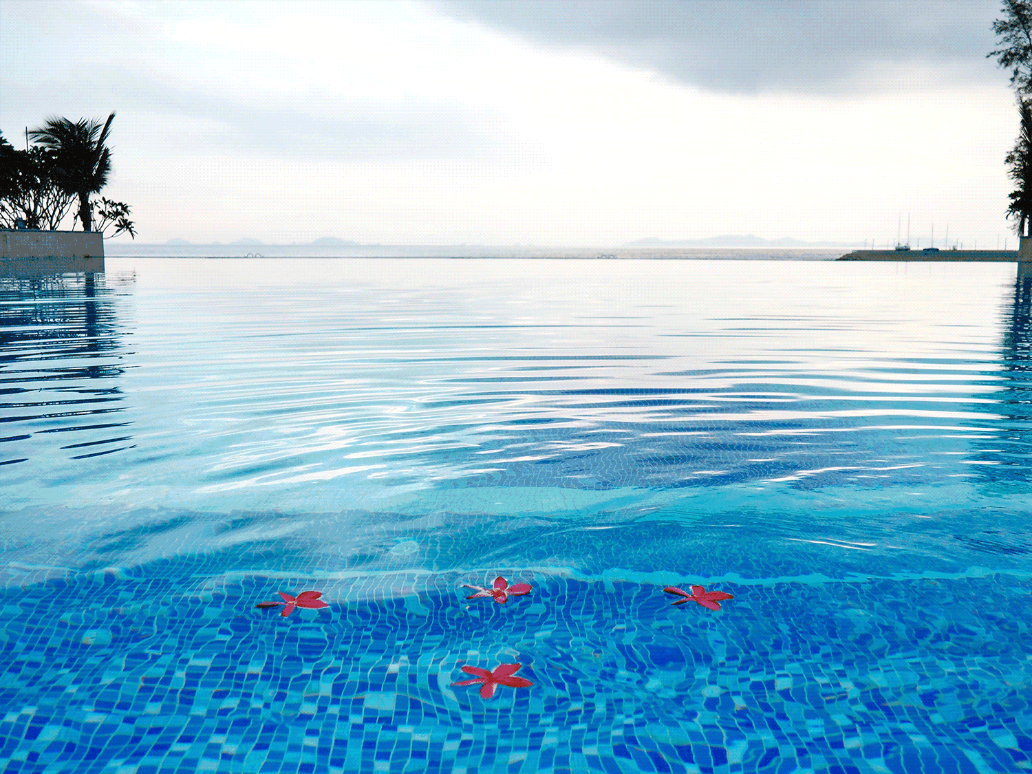 财经 消费 正文  远处的蔚蓝很是抓人眼球 大堂处处都是藤椅,沙发 每