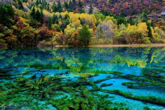 巴黎圣母院最近火了!还有其他打卡地在消失,旅