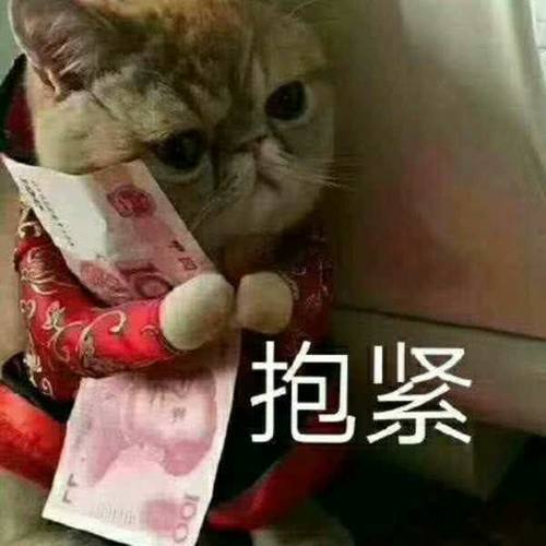 女生v女生表情过来:圣经睡觉啦,你要撒娇表情动态包我要图片