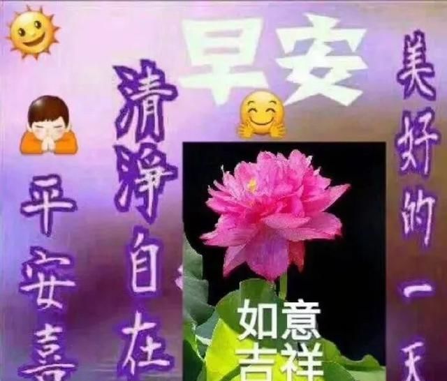 早上好各种图片