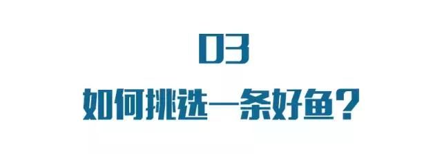 都说吃鱼好，但买鱼时看见这几种千万要小心！尤其第一个！